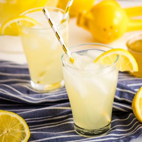 Honey-Lemonade-Kitchen-Cents-1-480x480